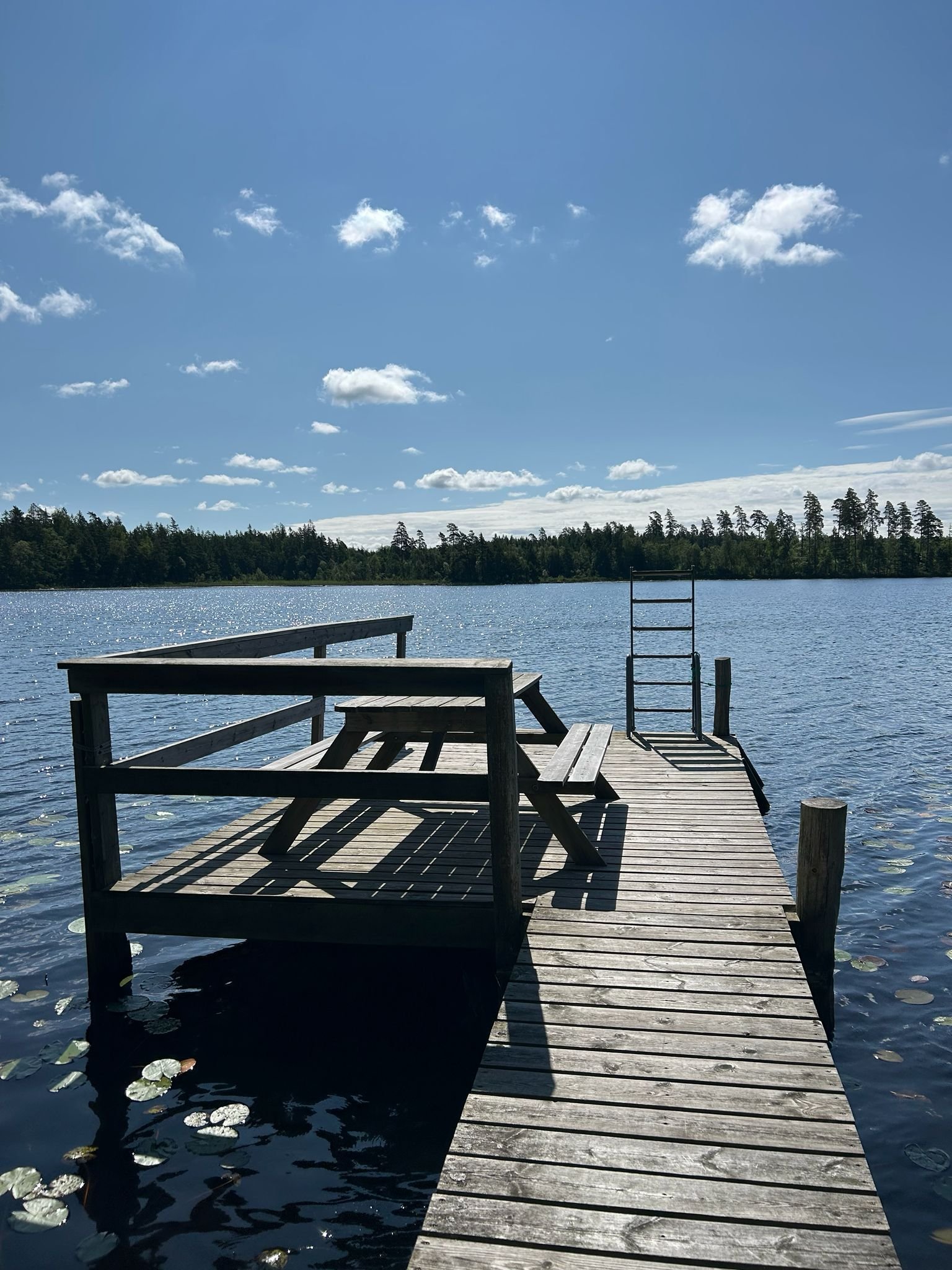 Sävsjön mit Badesteg in der Nähe des Hauses